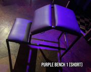 Purple-Bench-1-short