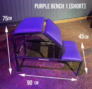 Purple-bench-1-short-